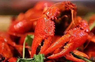 龙虾吃小蜜瓜吗,揭秘它们是否爱吃小蜜瓜