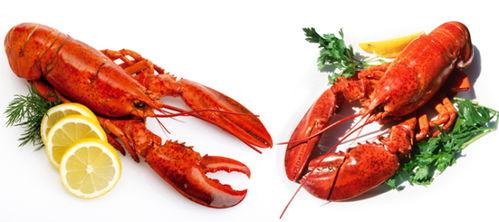 龙虾吃小蜜瓜吗,揭秘它们是否爱吃小蜜瓜