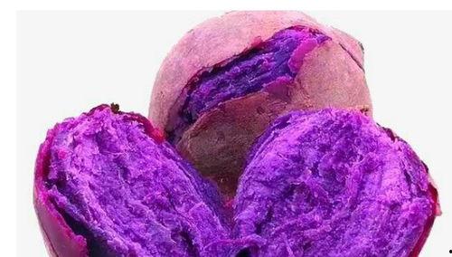 贵人吃贵瓜,从“贵人吃贵瓜”看社会阶层与生活品质