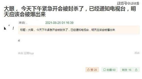 网传吃瓜论文,吃瓜论文背后的真相与启示