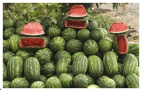 吃瓜的路,吃瓜群众眼中的明星幕后故事