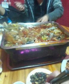 温州龙湾吃瓜,夏日吃瓜盛宴，尽享清凉滋味