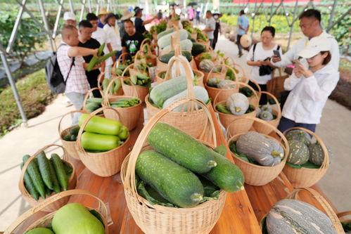 广州展会吃瓜,吃瓜群众围观热点，趣味横生一幕幕
