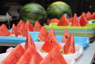 吃西瓜大赛拿瓜,吃西瓜大赛的欢乐盛宴