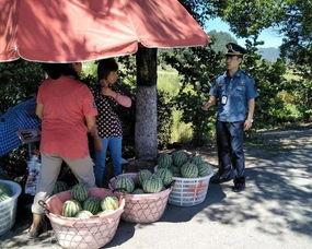 政和吃瓜群众,揭秘当地热点事件背后的故事