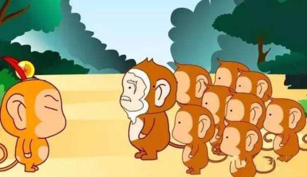 吃货与吃瓜的故事,一场味蕾与八卦的狂欢之旅