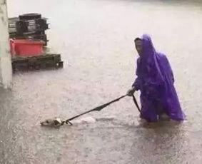 吃瓜遛狗,闲适生活新风尚