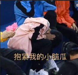 吃瓜冲浪明星,明星们的娱乐江湖