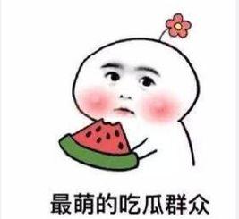 吃瓜群众张木林