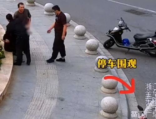 男子吃瓜下一秒自己成瓜,男子吃瓜意外成瓜，上演现实版“吃瓜变瓜”