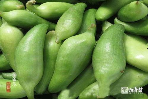 羊吃野高瓜吗,揭秘羊儿与野高瓜的奇妙缘分