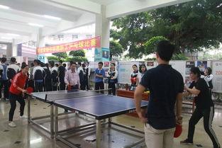 实验高中吃瓜,瓜田里的青春故事