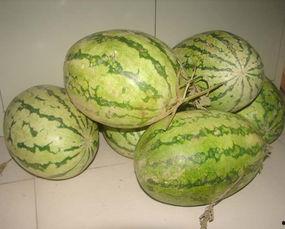 昕洛吃瓜,揭秘娱乐圈幕后故事