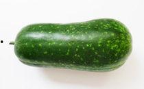 烂瓜可以吃吗,揭秘食品安全与保存之道