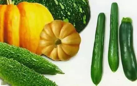 吃瓜就是种瓜人,揭秘瓜农的甜蜜生活