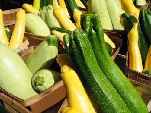 吃瓜008,网络红人的崛起与影响力