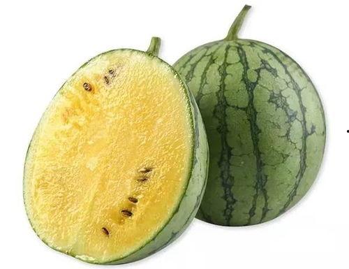 吃瓜凳子,网络热词背后的文化现象