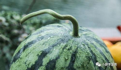 吃瓜买瓜新鲜的瓜歌,跟随“吃瓜买瓜新鲜瓜”歌声，畅游夏日瓜果盛宴