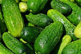 梦见瓜地挑瓜吃瓜,揭秘挑瓜吃瓜的神秘寓意