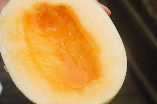 吃瓜有兴趣不,吃瓜群众的趣味追踪