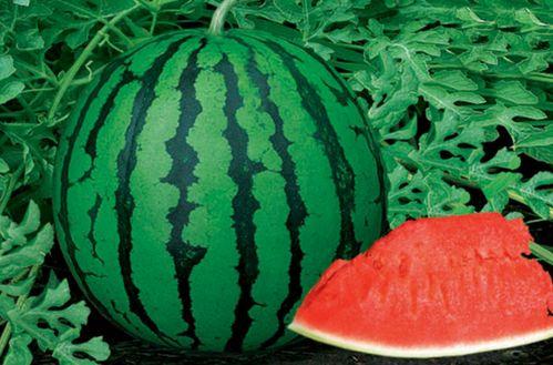 7吃瓜文档,娱乐圈幕后真相大曝光