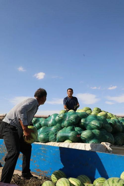 吃瓜 旅游,探寻美食与美景的完美邂逅