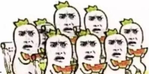 雷州吃瓜群众,吃瓜群众的欢乐盛宴