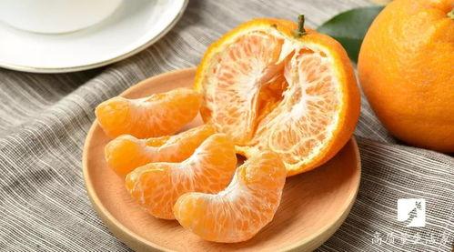 胖胖橘滑板吃瓜,一场趣味横生的街头盛宴