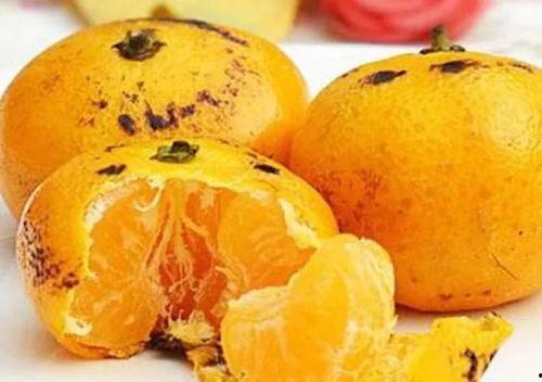 胖胖橘滑板吃瓜,一场趣味横生的街头盛宴