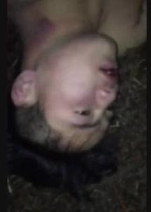 因为吃瓜意外死亡