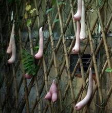 安国最新吃瓜,揭秘最新吃瓜事件背后的真相