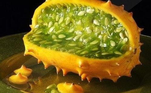 如何吃老角瓜减肥,轻松享瘦的健康选择