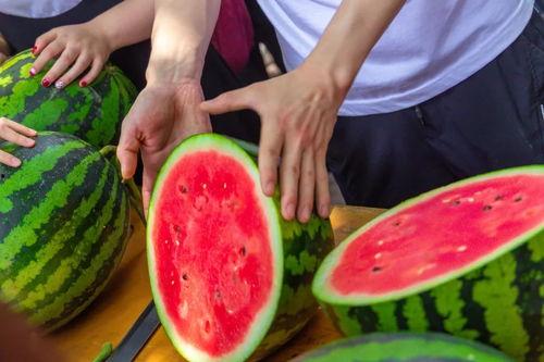 全国各大学吃瓜,校园美食大揭秘