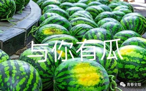 全国各大学吃瓜,校园美食大揭秘