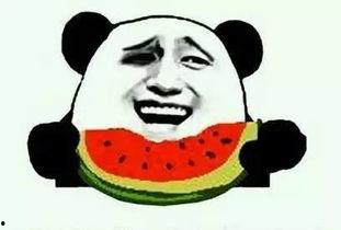 小零吃瓜,揭秘娱乐圈那些不为人知的幕后故事