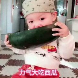 儿童吃瓜的视频,宝宝欢乐吃瓜瞬间