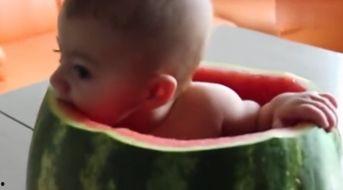 儿童吃瓜的视频,宝宝欢乐吃瓜瞬间