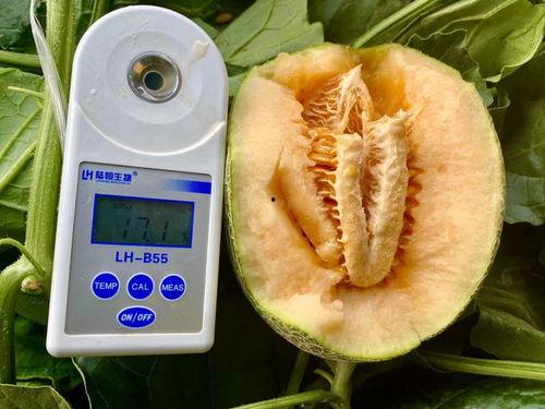 今日吃瓜 合集,盘点娱乐圈最新热点事件