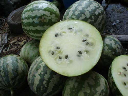 经常吃绿宝瓜,家常美食，健康生活新选择