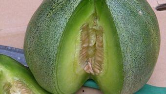 经常吃绿宝瓜,家常美食，健康生活新选择