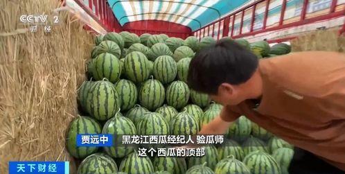 狗仔吃瓜399,揭秘娱乐圈幕后真相