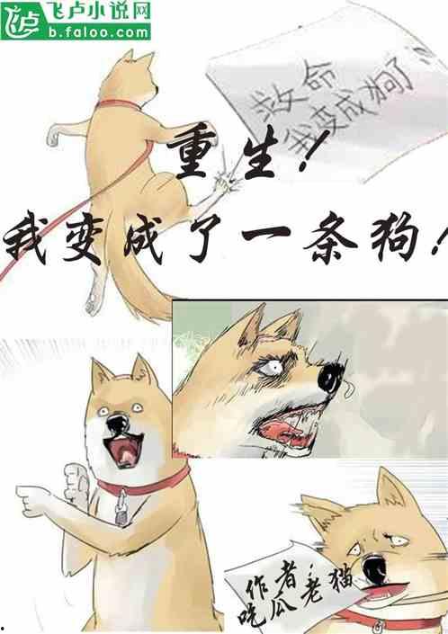 小说极致吃瓜,极致吃瓜者的奇幻冒险之旅