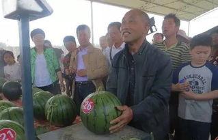 射阳吃瓜群众,揭秘当地生活百态