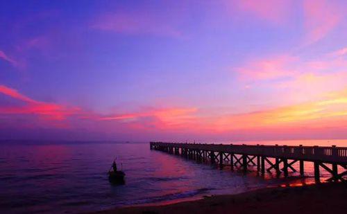 海景吃瓜,揭秘海洋生态的甜蜜秘密