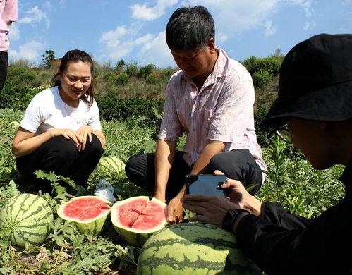 吃瓜群众4598,一场全民参与的舆论风暴