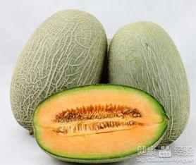 鹦鹉 吃哈密瓜,哈密瓜盛宴