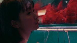 吃瓜少女片段,揭秘娱乐圈幕后故事