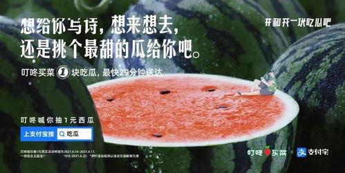 吃瓜吃得多文案