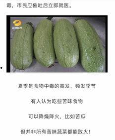 吃白瓜嘴巴麻,揭秘吃白瓜嘴巴麻的神奇体验