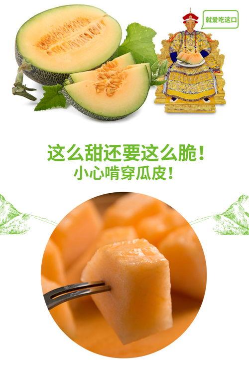 吃瓜网推荐内容,盘点那些让人欲罢不能的精彩内容